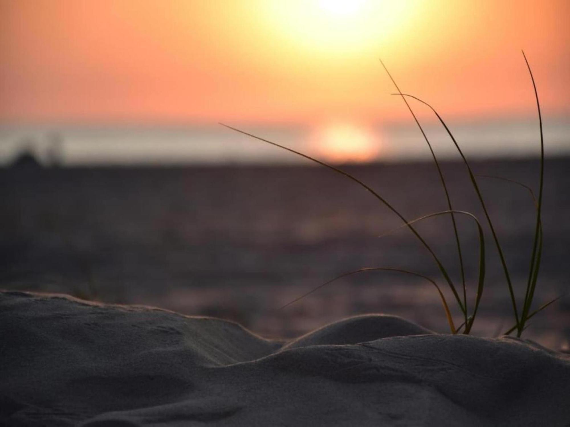 Studio Hazenborgh In Callantsoog Near The Beach Esterno foto